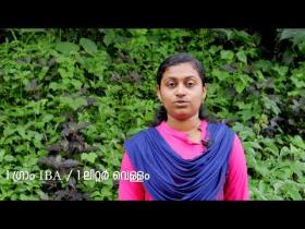 Embedded thumbnail for കുറ്റിക്കുരുമുളക് തൈ ഉത്പാദനം bushpepper production