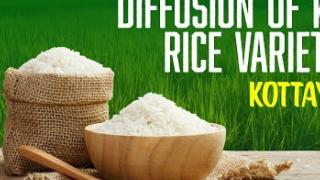 Embedded thumbnail for DIFFUSION OF KAU RICE VARIETIES | KOTTAYAM | കേരള കാർഷിക സർവ്വകലാശാല പുറത്തിറക്കിയ നെല്ലിനങ്ങൾ