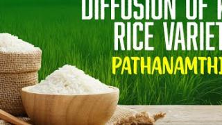 Embedded thumbnail for DIFFUSION OF KAU RICE VARIETIES | PATHANAMTHITTA | കേരള കാർഷിക സർവ്വകലാശാല പുറത്തിറക്കിയ നെല്ലിനങ്ങൾ