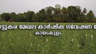 Embedded thumbnail for Onattukara Regional Agricultural Research Station Kayamkulam | ഓണാട്ടുകര മേഖല കാർഷിക ഗവേഷണ കേന്ദ്രം കായംകുളം | Kerala Agricultural University